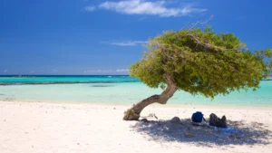 116270-Aruba