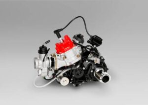 Rotax 125 Max DD2